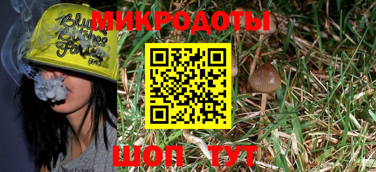 Псилоцибиновые грибы Cubensis Железноводск