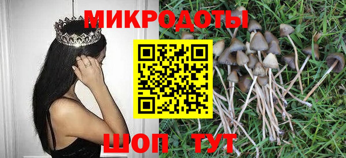 Псилоцибиновые грибы Cubensis  Вход с VPN  Железноводск 